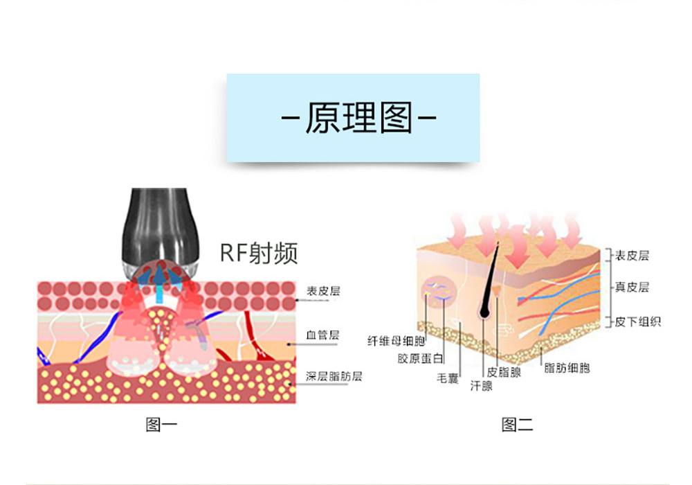 印奈儿美甲,科技美肤,健康管理