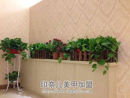 让你的美甲店回头客翻倍,只需注意5个小细节!