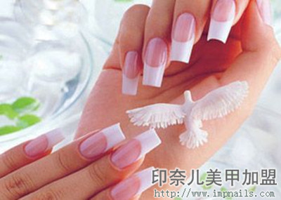 美甲知识